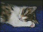 (image for) Sweet Dreams